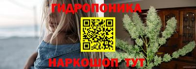 трава Новодвинск