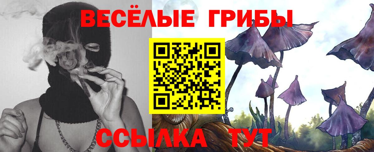 Псилоцибиновые грибы ЛСД Рыбинск